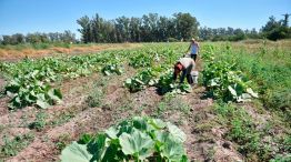 productores-rurales-cinturon-verde-cordoba-1