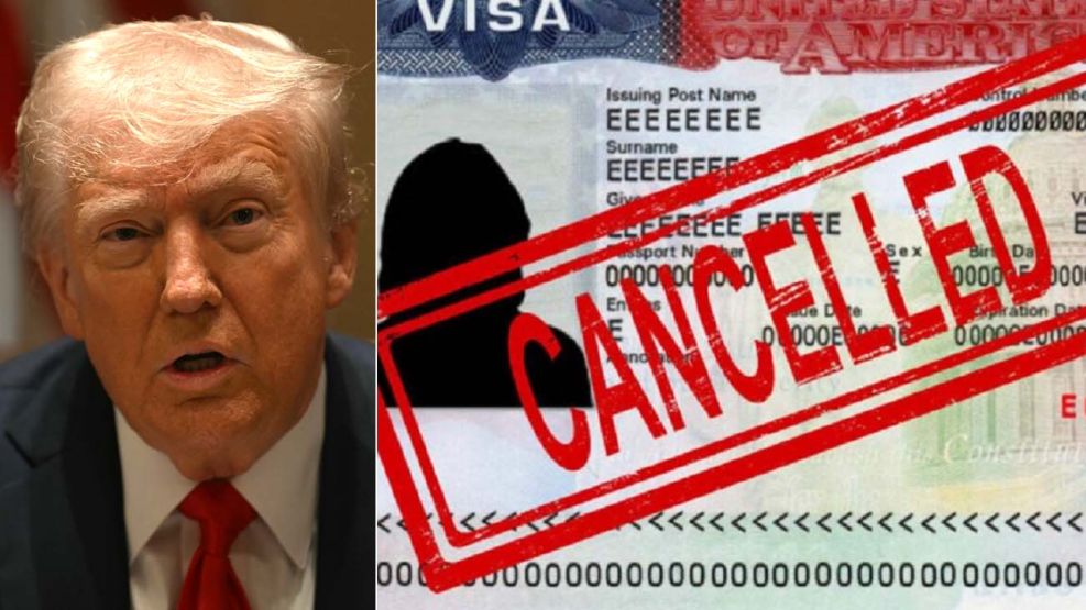Cancelacion de visa EE.UU20250416
