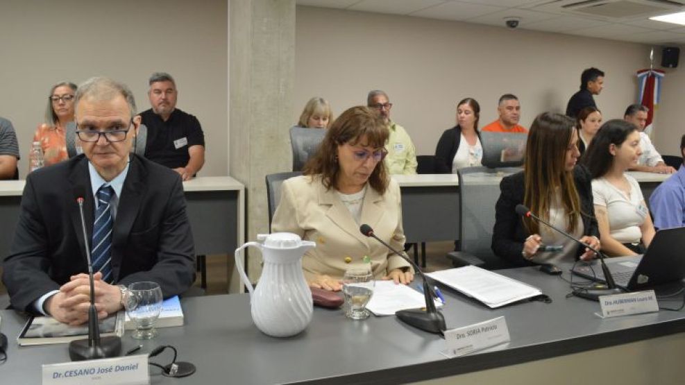 Tribunal del juicio del Neonatal