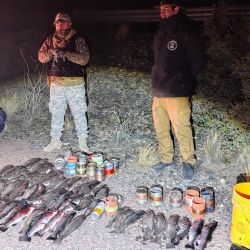 Los pescadores sufrieron varias infracciones. Una se debe a la pesca nocturna, algo prohibido en la zona, otra fue la cantidad, los aficionados estaban totalmente excedidos del límite de cinco ejemplares por persona. Y para rematar, no tenían permiso de pesca.