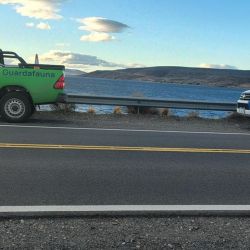 Los pescadores sufrieron varias infracciones. Una se debe a la pesca nocturna, algo prohibido en la zona, otra fue la cantidad, los aficionados estaban totalmente excedidos del límite de cinco ejemplares por persona. Y para rematar, no tenían permiso de pesca.