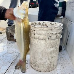 La Salada Grande de Madariaga sigue siendo en lo que va de la temporada la laguna élite de la provincia de Buenos Aires.