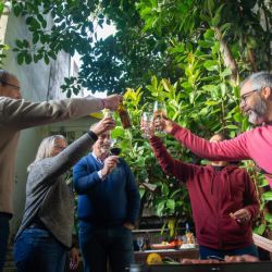 Colmena: Un nuevo horizonte para la vida después de los 50 | Foto:CEDOC