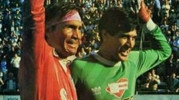 Fillol y Gatti