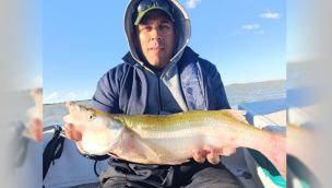 2104_pesca
