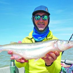 Carandas: mojarra con filet (para río o laguna), camarón pelado (mar) o lombrices (ríos, canales y lagunas) serán cebos a tener en cuenta según el lugar elegido para que el peje pase el kilo).