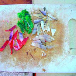 Carandas: mojarra con filet (para río o laguna), camarón pelado (mar) o lombrices (ríos, canales y lagunas) serán cebos a tener en cuenta según el lugar elegido para que el peje pase el kilo).