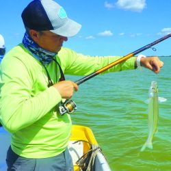 Pejerreyes pescados casi a flor de agua, que además de estar sobrados en porte resultaron muy combativos. 
