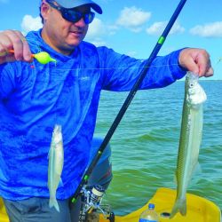 Pejerreyes pescados casi a flor de agua, que además de estar sobrados en porte resultaron muy combativos. 