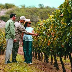 A 100 km de la capital provincial, el Valle del Cóndor sorprende con propuestas gastronómicas que se complementan con navegación en kayak, mountain bike, trekking y hasta bajadas de rafting.