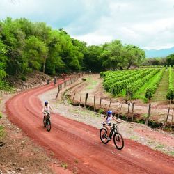A 100 km de la capital provincial, el Valle del Cóndor sorprende con propuestas gastronómicas que se complementan con navegación en kayak, mountain bike, trekking y hasta bajadas de rafting.