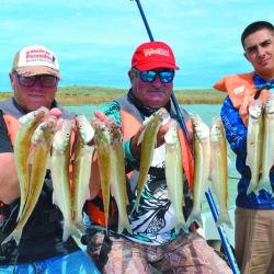 Un ámbito que se posiciona en la agenda de los pescadores con un otoño muy prometedor y flechas de plata muy activos.