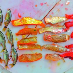 Un ámbito que se posiciona en la agenda de los pescadores con un otoño muy prometedor y flechas de plata muy activos.