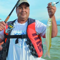 Un ámbito que se posiciona en la agenda de los pescadores con un otoño muy prometedor y flechas de plata muy activos.