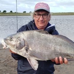 En octubre la especie entra a picar bien por Lavalle, luego se afirma su presencia en Mar Chiquita, y en los últimos años, ha vuelto a mostrar su presencia en las playas del sur bonaerense, donde ya no es extraño dar con ellas, a diferencia de pocos años atrás que era casi imposible pinchar un ejemplar. 