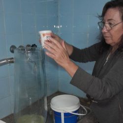 Este aporte se suma a los más de 2 millones de huevos que ya se sembraron desde la Estación Hidrobiológica de Junín el año pasado, como forma de acelerar los tiempos de reparación de orden natural.