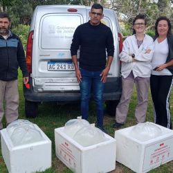 Este aporte se suma a los más de 2 millones de huevos que ya se sembraron desde la Estación Hidrobiológica de Junín el año pasado, como forma de acelerar los tiempos de reparación de orden natural.