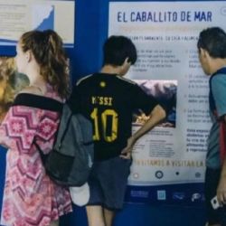 Ya no se expondrán más al público los animales vivos.
