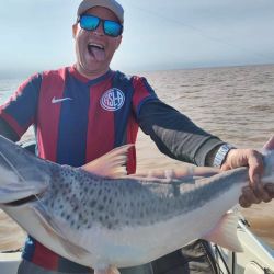 Si bien la temperatura del agua ha disminuido levemente, los dorados se ve que aún se sienten a gusto en la zona norte del Río de la Plata.