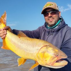 Si bien la temperatura del agua ha disminuido levemente, los dorados se ve que aún se sienten a gusto en la zona norte del Río de la Plata.