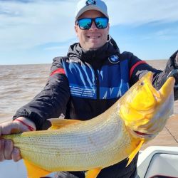 Si bien la temperatura del agua ha disminuido levemente, los dorados se ve que aún se sienten a gusto en la zona norte del Río de la Plata.