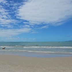 LB Company Abre la Puerta a la Inversión Inmobiliaria en Florianópolis | Foto:CEDOC