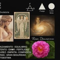 Tu estilo también es cíclico: cómo vestirte según tu ciclo puede cambiarlo todo