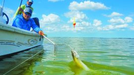 Pejerreyes pescados casi a flor de agua, que además de estar sobrados en porte resultaron muy combativos.