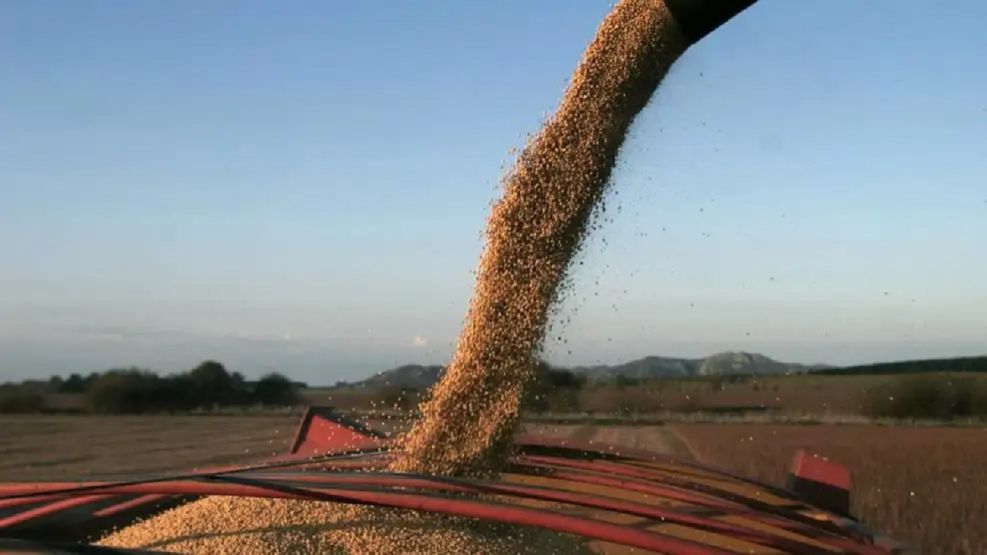 Liquidación agro