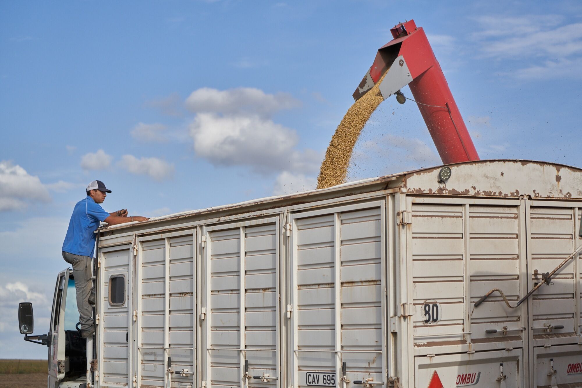 Argentina Soy Crop Forecast Slashed To Smallest On Record