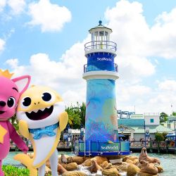 SeaWorld tiene una nueva atracción, Expedition Odyssey, mientras celebra 10 años de Baby Shark entre sus shows.