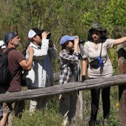 Las materias son virtuales. 