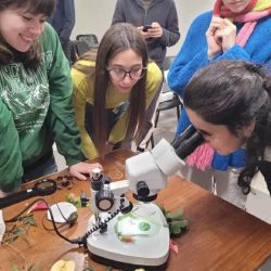 El proyecto cuenta con grandes avales como el de Birdlife International, la Administración de Parques Nacionales, y Fundación Vida Silvestre Argentina.