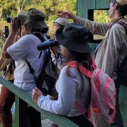 La carrera consta de 24 materias.