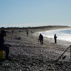 La pesca de altura es una de las actividades más esperadas por vecinos, visitantes y participantes de la gran Fiesta Nacional. 