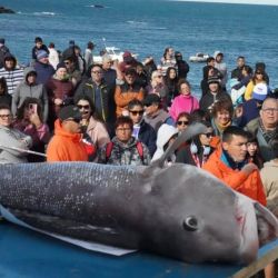 La pesca de altura es una de las actividades más esperadas por vecinos, visitantes y participantes de la gran Fiesta Nacional. 