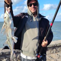 Las primeras piezas se registraron en la zona céntrica de Mar del Plata. Varios pescadores que fueron por las últimas corvinas rubias de la temporada y se vieron sorprendidos por el pique violento y la tradicional pelea del pez elefante.