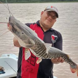 La constante son los niveles bajos en los ríos. Aún así, la chance de pesca está latente, ya sea con dorados, surubíes o variada. 