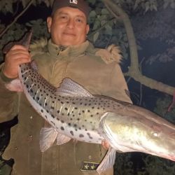 La constante son los niveles bajos en los ríos. Aún así, la chance de pesca está latente, ya sea con dorados, surubíes o variada. 