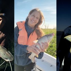 La constante son los niveles bajos en los ríos. Aún así, la chance de pesca está latente, ya sea con dorados, surubíes o variada. 
