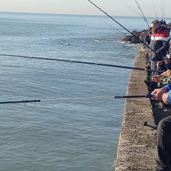 A los adultos mayores se suman los juveniles nacidos entre 2007 y 2013.