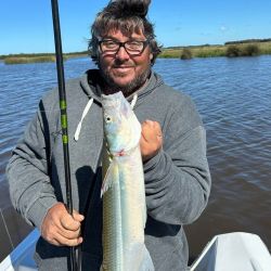 La laguna reabrió antes este año, en marzo, y viene dando pejerreyes de todo tamaño, con cuotas completas la mayoría de las salidas, y con días de más o menos tamaño. 