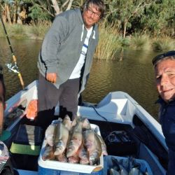 La laguna reabrió antes este año, en marzo, y viene dando pejerreyes de todo tamaño, con cuotas completas la mayoría de las salidas, y con días de más o menos tamaño. 
