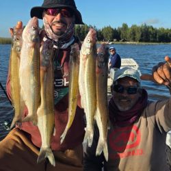 La laguna reabrió antes este año, en marzo, y viene dando pejerreyes de todo tamaño, con cuotas completas la mayoría de las salidas, y con días de más o menos tamaño. 