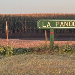 La laguna reabrió antes este año, en marzo, y viene dando pejerreyes de todo tamaño, con cuotas completas la mayoría de las salidas, y con días de más o menos tamaño. 