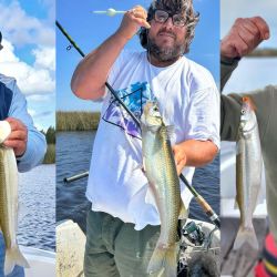 La laguna reabrió antes este año, en marzo, y viene dando pejerreyes de todo tamaño, con cuotas completas la mayoría de las salidas, y con días de más o menos tamaño. 