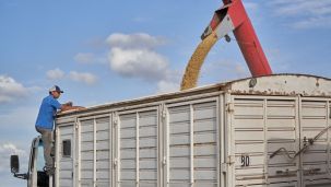 Argentina Soy Crop Forecast Slashed To Smallest On Record