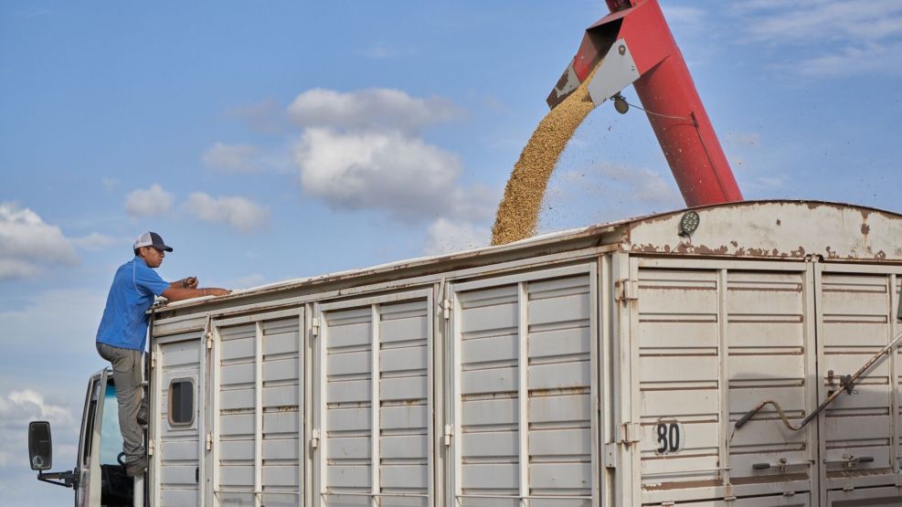 Argentina Soy Crop Forecast Slashed To Smallest On Record