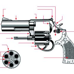 Despiece interno de una pistola, donde se aprecian el armazón, el cañón y la cola del disparador con su resorte y mecanismo, entre  otros componentes.