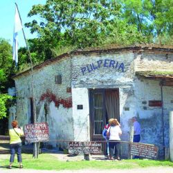 Mayo a full con la temporada de pejerrey, pero también aparecen otras especies y actividades para hacer en otoño.
